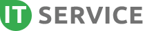 it service logo
